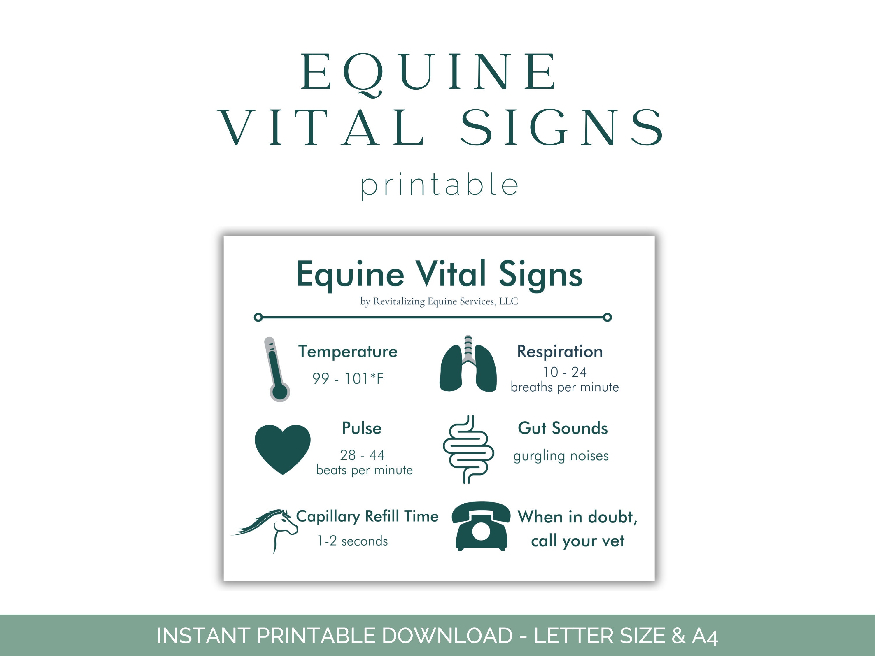 Horse Vital Signs Equine Health Care Signs