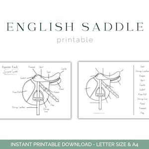 Parts of the Saddle Equine Tack English Saddle 4H FFA Hippology Horse Tack Downloadable Equine Education