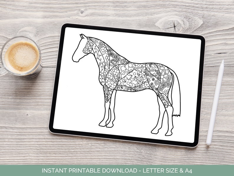 Equine Coloring Page Horse Coloring Activity Horse Coloring Page Equine