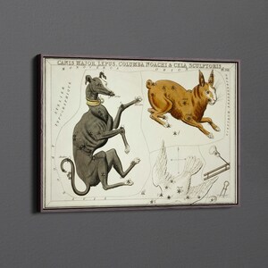 Canis Major, Lepus, Columba Noachi and Cela Sculptoris by Sidney Hall Canvas Wall Art & Poster Print [5:7]