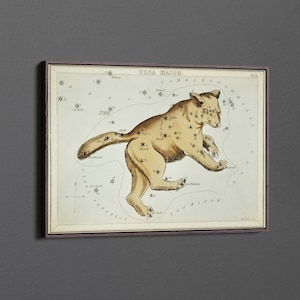 the Ursa Major by Sidney Hall Canvas Wall Art & Poster Print [5:7]