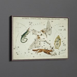 Lacerta, Cygnus, Lyra, Vulpecula and Anser by Sidney Hall Canvas Wall Art & Poster Print [5:7]