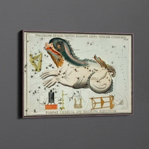 Psalterium Georgii, Fluvius Eridanus, Cetus, Officinal Scupltoris, Fornax Chemica by Sidney Hall Canvas Wall Art & Poster Print [5:7]