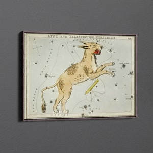 Lynx and the Telescopium Herschilii by Sidney Hall Canvas Wall Art & Poster Print [5:7]
