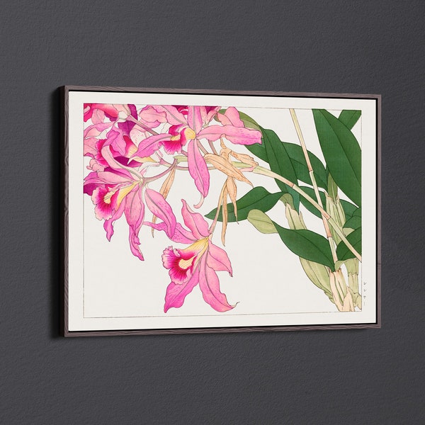 Vintage Laelia Flower by Tanigami Konan Canvas Wall Art & Poster Print [5:7]