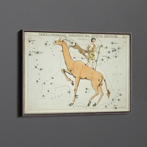 the Camelopardalis, Tarandus and the Custos Messium by Sidney Hall Canvas Wall Art & Poster Print [5:7]