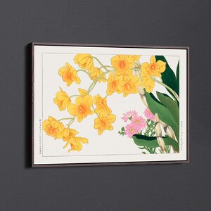 Dendobium Chbysotoxuum de Tanigami Konan Lienzo decorativo para pared y póster impreso [5:7]