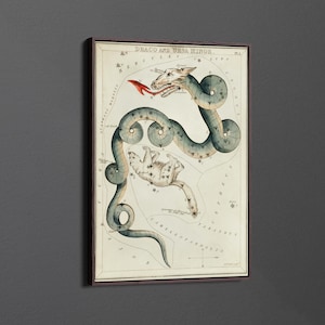 Draco and Ursa Minor by Sidney Hall Canvas Wall Art & Poster Print [5:7]
