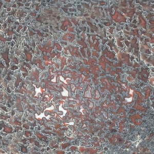 Fossilized Dinosaur &#39;Gembone&#39; Rough Lapidary Mineral Slabs Slices from Utah