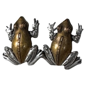 Puede incluir: Un par de pendientes con forma de rana. Los pendientes tienen un cuerpo de color bronce y patas y brazos de color plateado. Las ranas están en posición sentada con los brazos levantados. Los pendientes son de metal y tienen un diseño detallado.