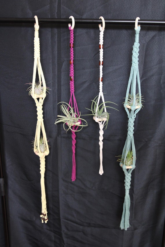 Single Air plant holder