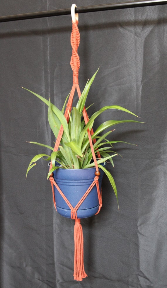 Hanging Plant Holder