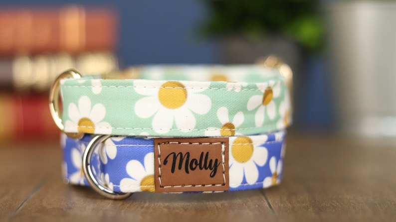 May include: A blue and green dog collar with a daisy print and a brown leather tag that says "Molly".