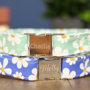 May include: Two dog collars with daisy print fabric. The top collar is light green with white daisies and the bottom collar is blue with white daisies. The collars have silver buckles with engraved names "Charlie" and "Molly" and a phone number.