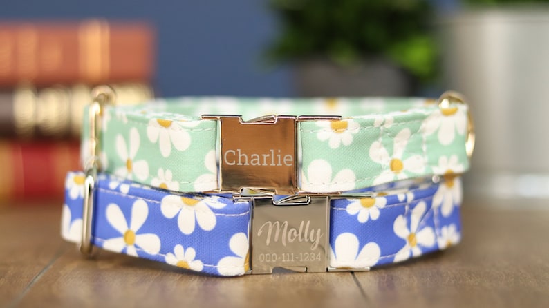 May include: Two dog collars with daisy print fabric. The top collar is light green with white daisies and the bottom collar is blue with white daisies. The collars have silver buckles with engraved names "Charlie" and "Molly" and a phone number.