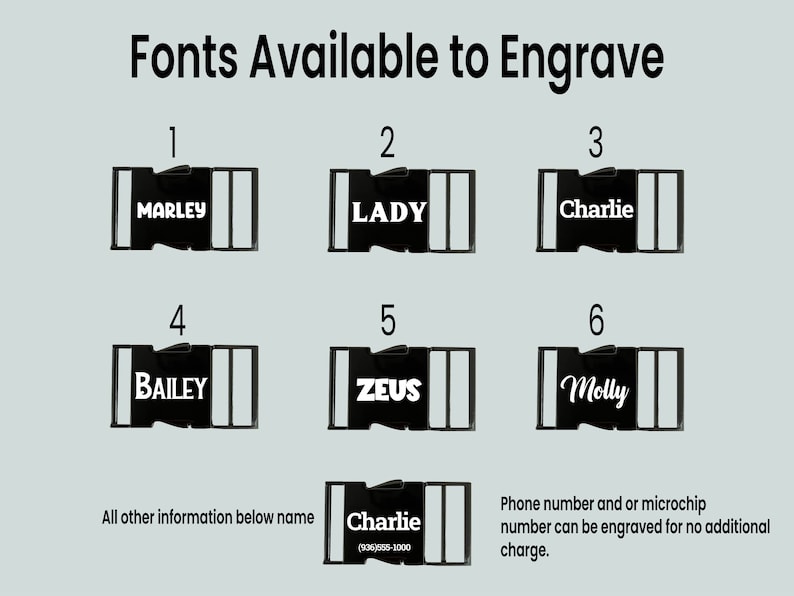 May include: Six different font styles for engraving on black dog collar buckles. The fonts are shown with sample names like "Marley", "Lady", "Charlie", "Bailey", "Zeus", and "Molly".  The text "All other information below name" and "Phone number and or microchip number can be engraved for no additional charge." is also included.