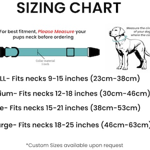 May include: Sizing chart for dog collars with measurements in inches and centimeters. The chart shows the collar size, neck circumference in inches and centimeters, and a diagram of a dog wearing a collar.