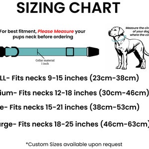 Op de afbeelding: Maattabel voor hondenhalsbanden met afmetingen in inches en centimeters. De tabel toont de halsbandmaat, de nek omtrek in inches en centimeters, en een diagram van een hond die een halsband draagt.