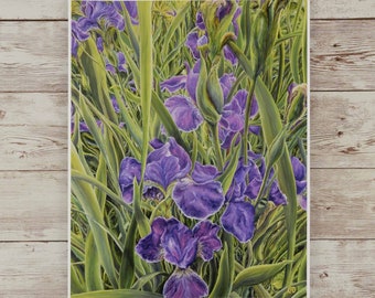 Secret Garden - SIGNED Fine Art Giclee Print, Through the Irises, Colorful Wall Art, Floral Aesthetic, Floral Art, Unique Gift