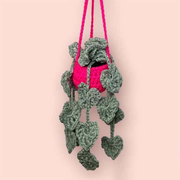 Crochet Hanging Monstera Plant Nature Home Decor