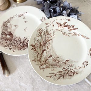Jules Vieillard Bordeaux Oiseaux Plates - Etsy