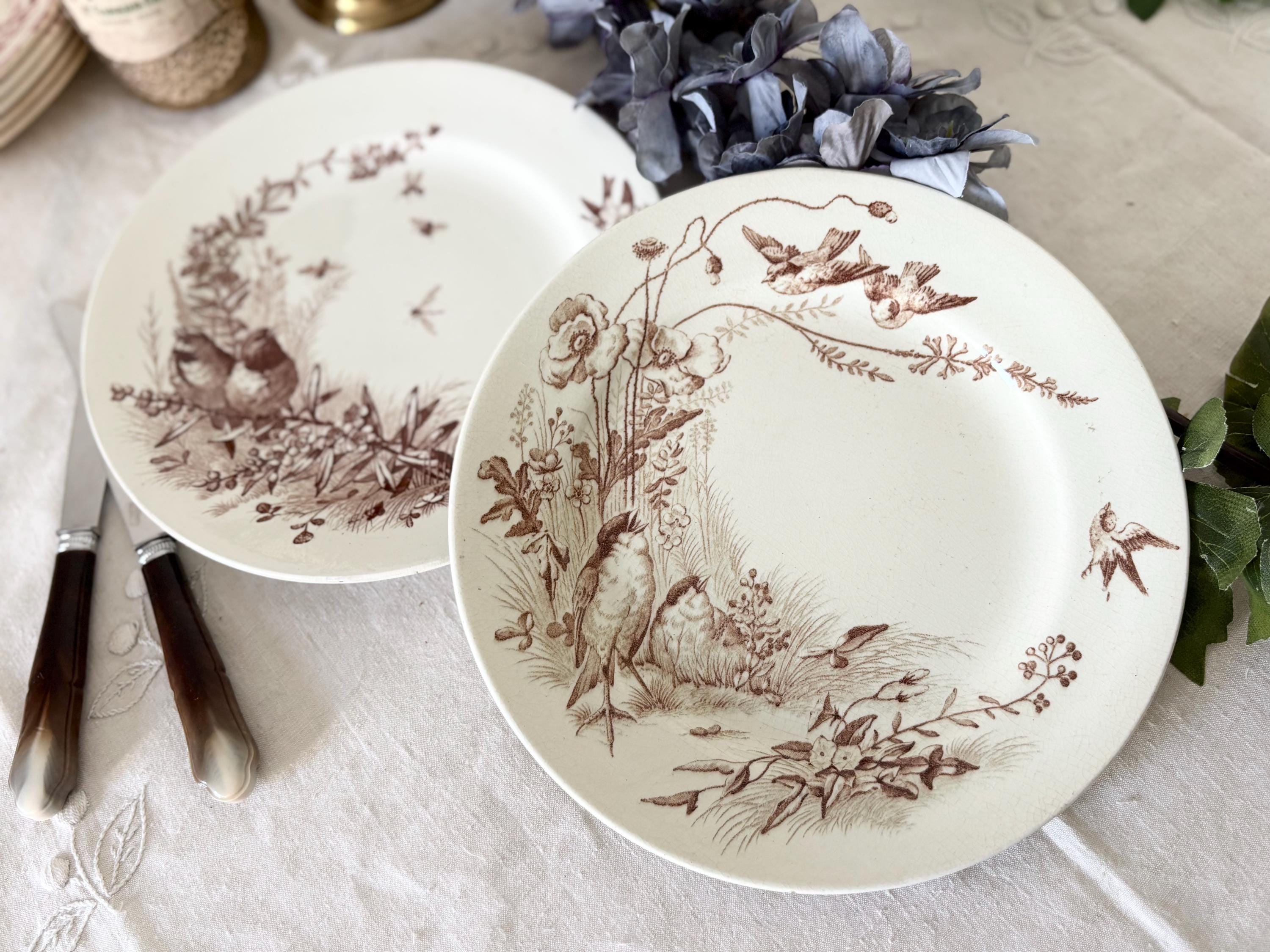 Jules Vieillard Bordeaux Oiseaux Plates - Etsy