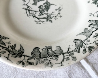 Antique GIEN AVIARY 23cm Plate, Green Bird Transferware, French Faience Dinner Plate, 19th Century Bird Motif, French Antique Ceramic