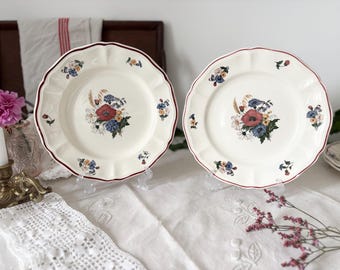 Lot 2 Sarrreguemines antique plates DIGOIN  French dessert plates / Agreste / France / Antique / floral transferware / サルグミンヌ / 花リム / フランス