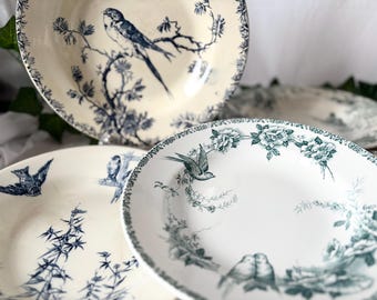 Various / French antique Deep or semi deep plate / Terre de fer / Saint Amand / Gien / mésange Bird favori sarreguemines creil et Montereau