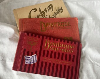 Lot of 3 French antique postcard albums / フレンチアンティーク　絵葉書　ポストカードブック　３冊セット