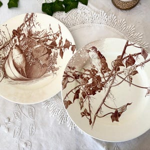 以下が含まれることがあります： クリーム色の陶器の皿2枚。茶色の植物画が描かれています。1枚は枝にとまる鳥、もう1枚は植物の入ったバスケットです。白いレースのテーブルクロスの上に置かれています。