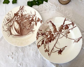 Set of 2 Société Céramique Maastricht Plates, Dutch Antique Bird Scene, Four Seasons Transferware, Brown Decorative Plates, 23.5cm