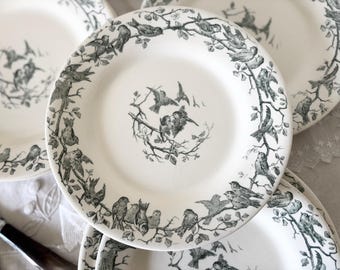 Antique GIEN AVIARY  23cm plate or 21cm dessert plate, Green Bird Transferware, French Faience, 19th Century Bird Motif, French Antique