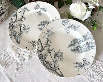 Creil et Montereau Cerisiers Plates Set of 2, Antique French Terre de Fer Green Transferware, Dinner & Soup Plates