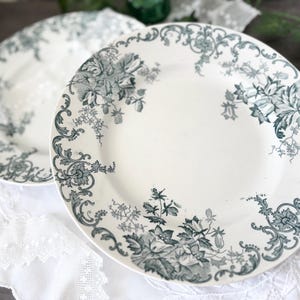 May include: Two round ceramic plates featuring a cream-colored base with a dark green transferware pattern. The design consists of intricate floral motifs, including bell-shaped flowers and leaves, arranged along the scalloped edges and rims.
