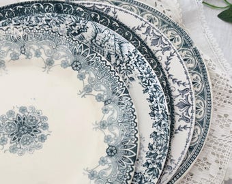 Various / French Antique Plate Terre de Fer Gien Digoin Sarreguemines St Amand Bird Floral Transferware French Faience