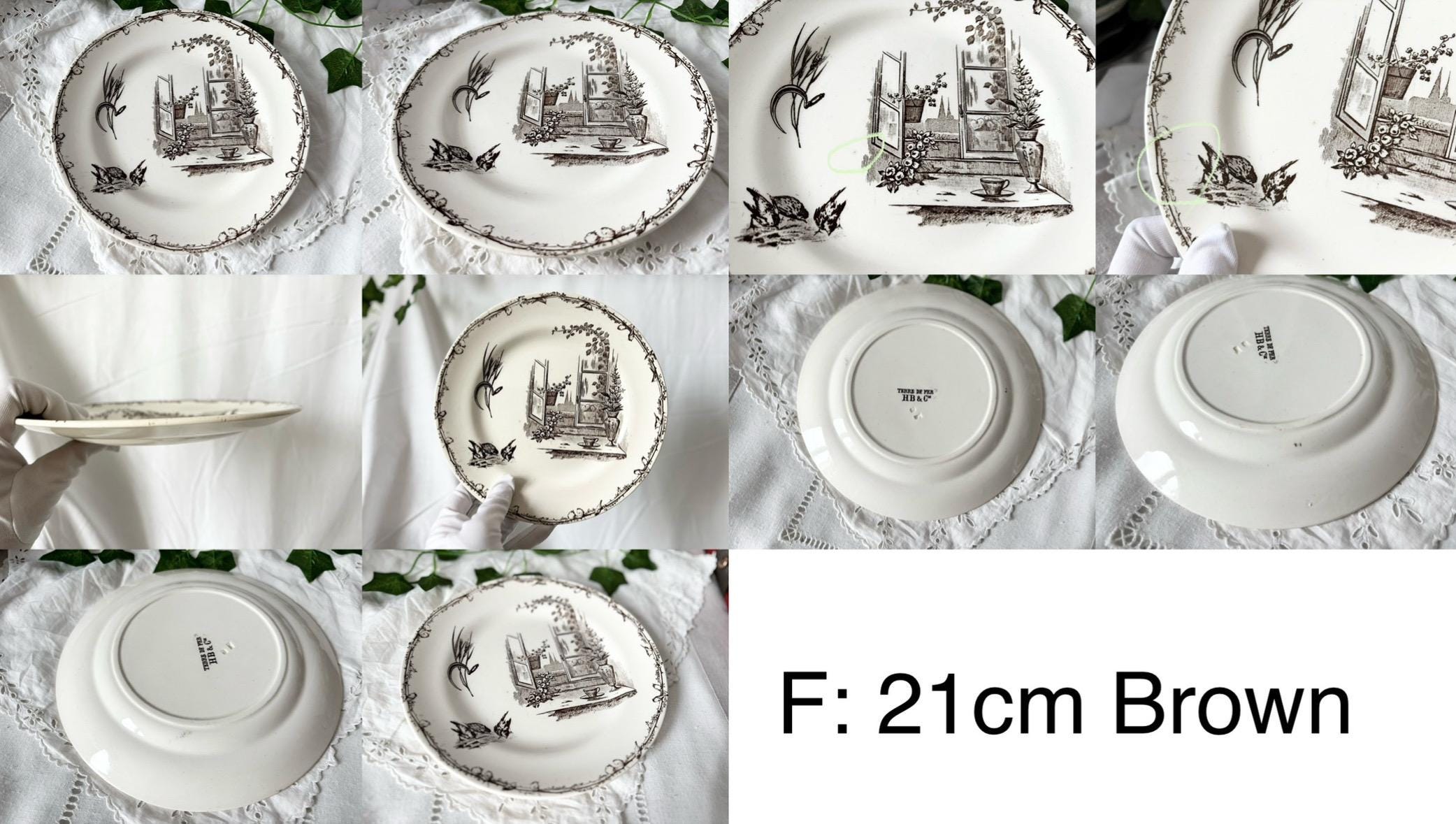 フランスTERRE DE FER 小鳥メイン皿Choisy Le Roi アンティーク プレート 小鳥とワイルドローズ アンティーク皿