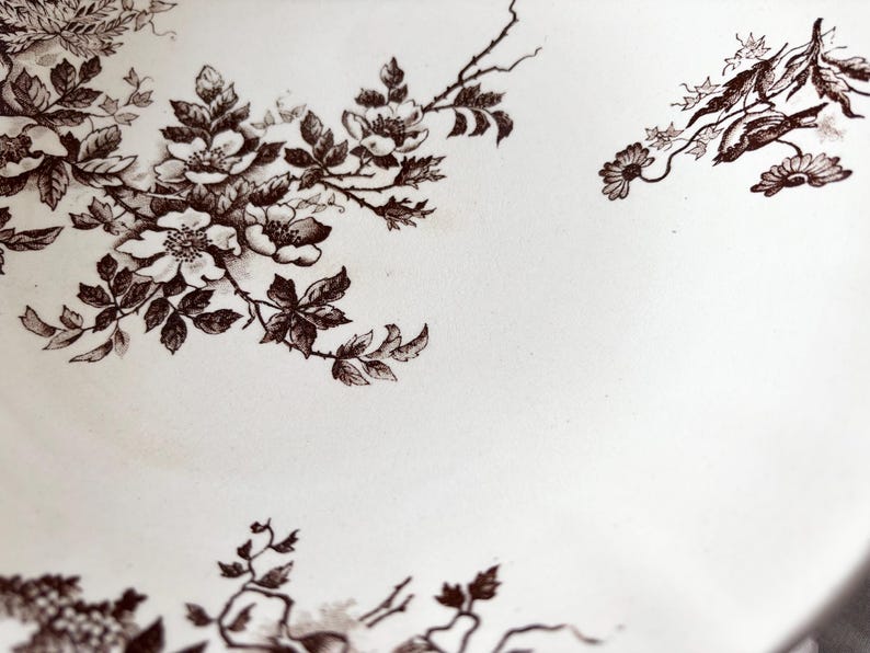 Pode incluir: Um close-up de um prato de cer&acirc;mica branco com um design floral marrom. O design apresenta rosas e folhas delicadas.