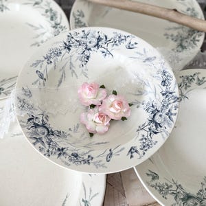 Creil et montereau  / Linotte / deep plate / 19 century antique / France  / bird /クレイユエモントロー / テールドフェール / 深皿  / 鳥