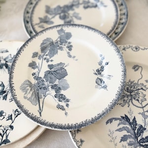 French Antique Plates Various Makers Creil et Montereau Choisy le Roi Gien Longwy Moustiers St Amand Terre de Fer sarreguemines