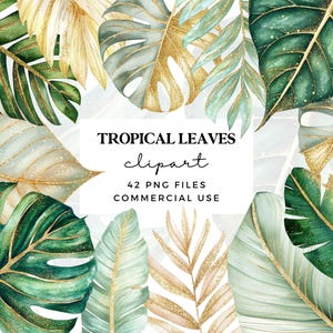 Tropische bladeren clipart png-aquarel groen en bladgoud clip art bundel-transparante pngs commercieel gebruik-elegante jungle bladeren