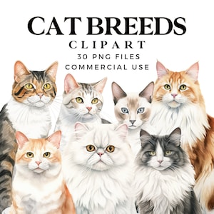 Aquarelle chats clipart - aquarelle chat race Clip Art Bundle - animaux de compagnie - usage commercial - modèles de sublimation - fichiers transparents