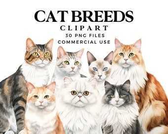 May include: Watercolor illustration featuring various cat breeds. The image includes the text "CAT BREEDS CLIPART 30 PNG FILES COMMERCIAL USE". The cats are depicted in a variety of colors and patterns, including tabby, calico, and Siamese.
