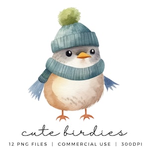 Clipart oiseaux mignons de Noël - Illustrations aquarelles d'oiseaux - oiseaux rigolos - fabrication de cartes, téléchargement immédiat 300 DPI PNG Transparent