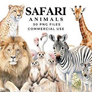 Safari dieren clipart - aquarel clipart voor commercieel gebruik - Afrikaanse safari dieren clip art bundel - png-bestanden - leeuw olifant zebra