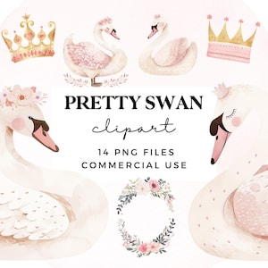 Conjunto de clipart de cisne - Clip Art de cisnes em aquarela rosa para arte de parede de berçário, convites para festas infantis, chás de bebê - PNGs transparentes para uso comercial