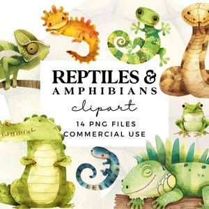 Reptilien & Amphibien Clipart Bundle - Süße Reptilien Clipart - Süße Eidechse Clipart - Krokodil, Schlange, Frosch, Gecko, Legua, Schildkröte