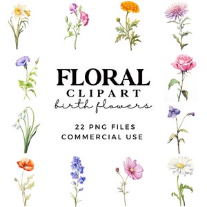 Clipart de flores do mês de nascimento - Flor de nascimento PNG - Presente de dia das mães - Flores de nascimento em aquarela - Clipart floral para uso comercial