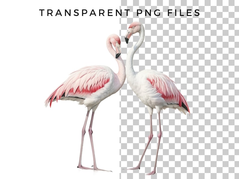 Clipart animali Safari - Clipart acquerello per uso commerciale - Pacchetto clip art animali Safari africani - File PNG - Leone Elefante Zebra immagine 7