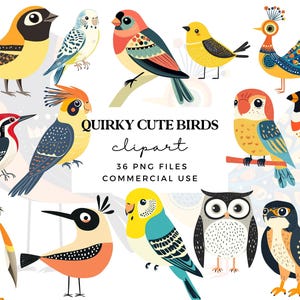 Imágenes prediseñadas de pájaros extravagantes PNG - Imágenes prediseñadas de pájaros de dibujos animados lindos - Imágenes prediseñadas de pájaros divertidos - Gráficos para amantes de los pájaros - Uso comercial - Diseños de sublimación de pájaros